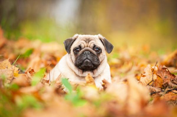 AdobeStock 72490147 50